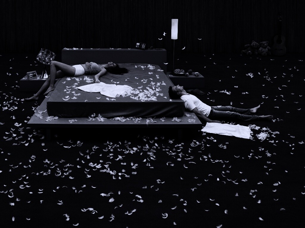 На поле брани.. подушками обои