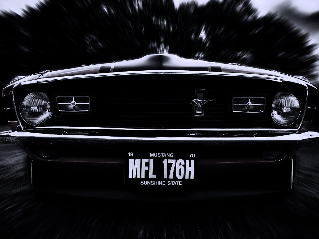 Мустанг обои