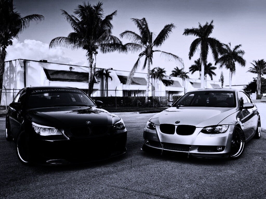 Две БМВ обои
