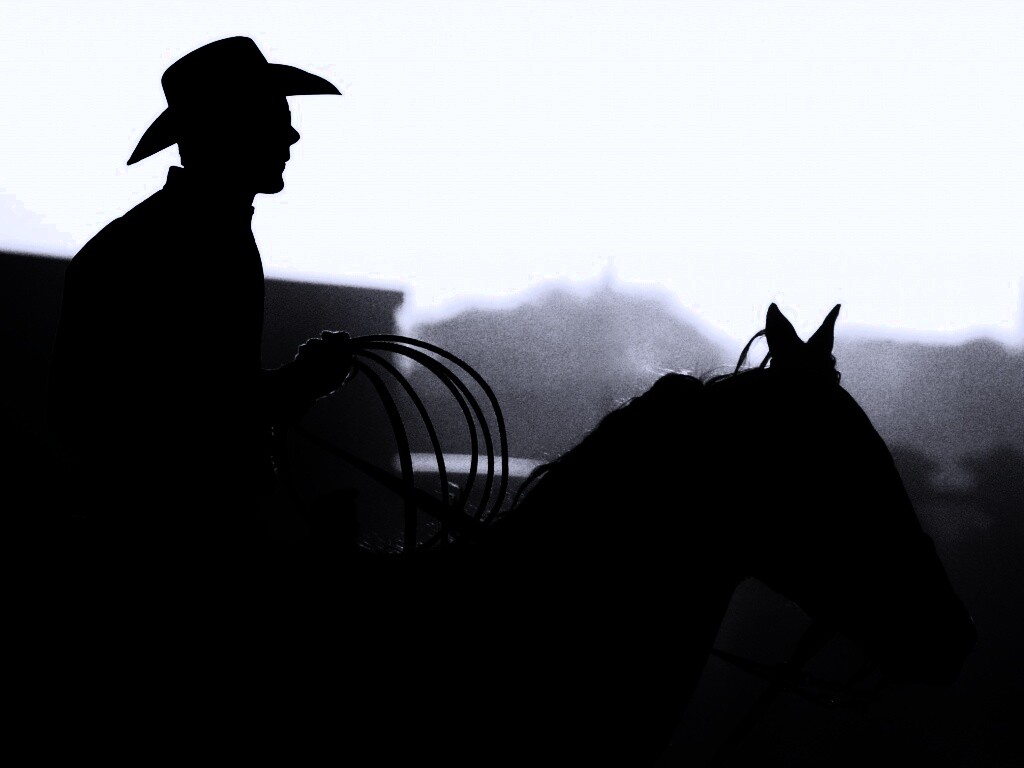 Ковбой с лассо на коне обои