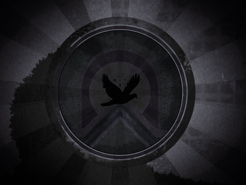 Голубь мира обои