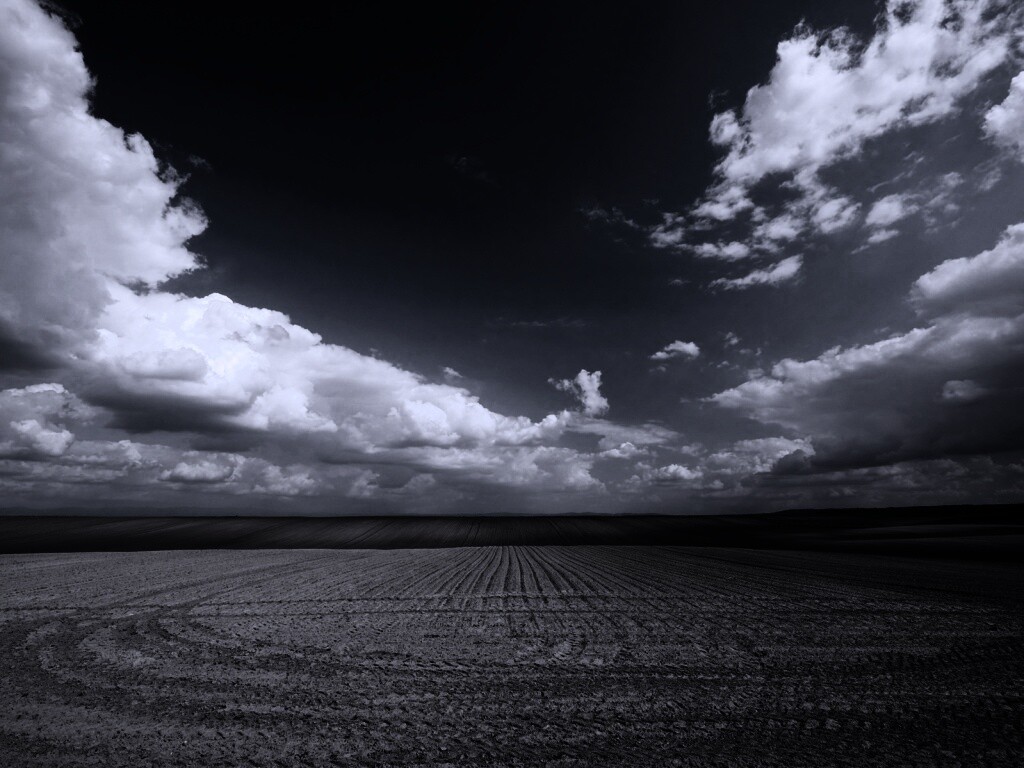 Незасеянное поле обои