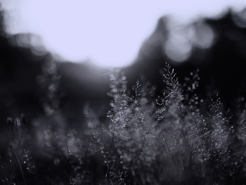 Посмотри на этот мир обои