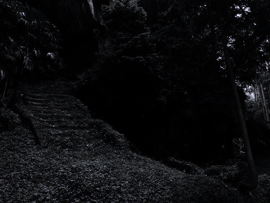 Старинный лесной храм обои