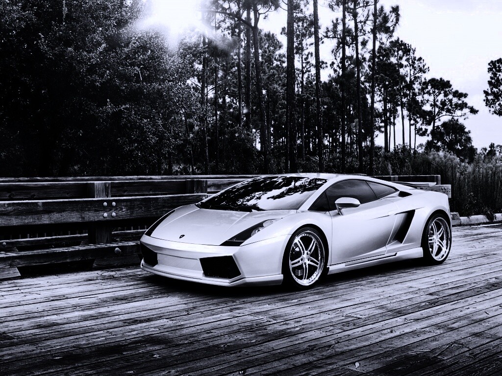 Ламбоджини на мосту в лесу обои