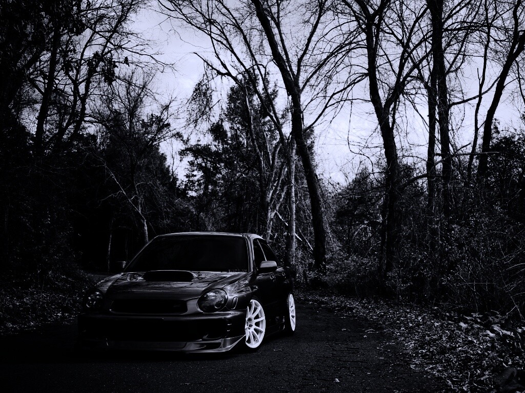 Субару Импреза на лесной дороге обои