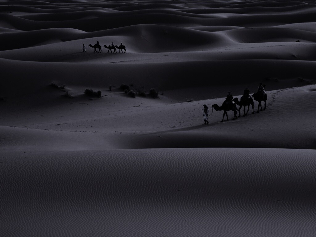 Караваны пустыни обои