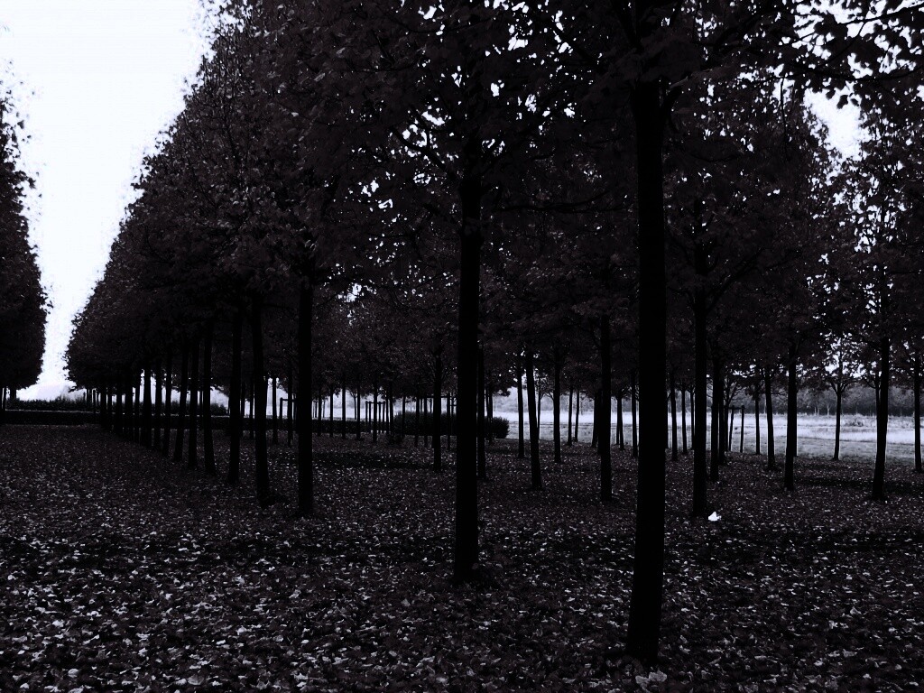 Скачать бесплатно осень обои