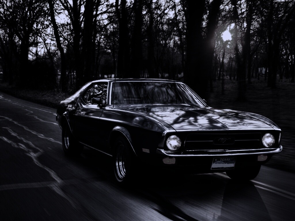 Мустанг обои