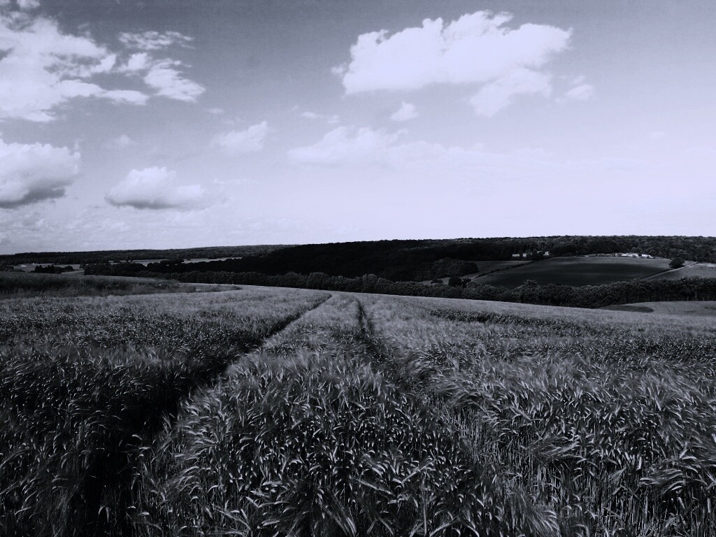 Бескрайние просторы обои