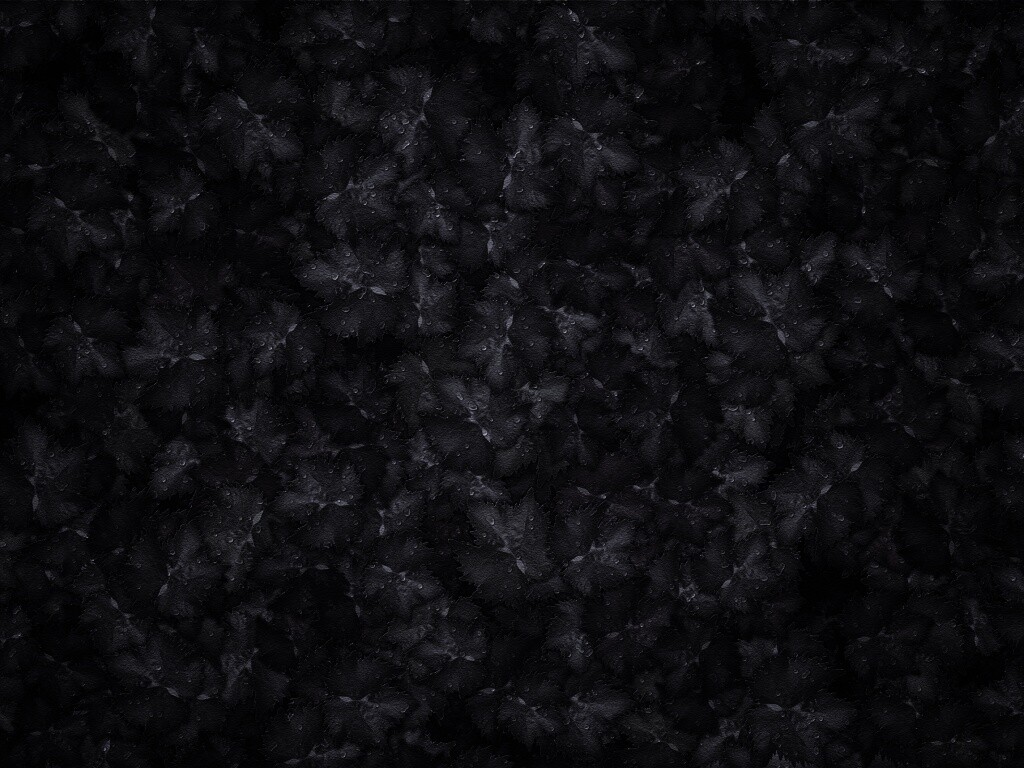 Осенние листья обои