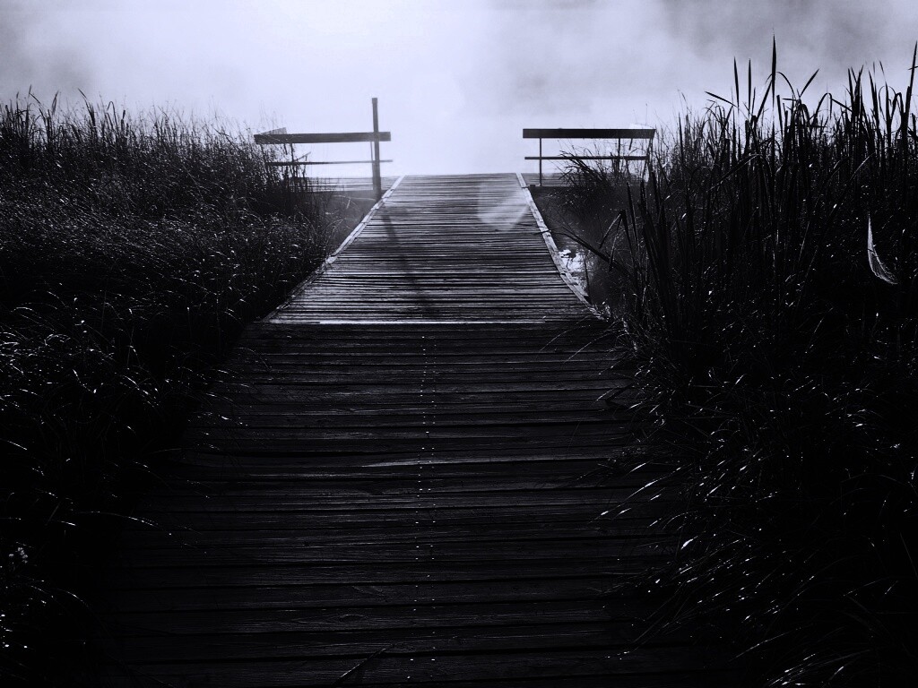 Выход к реке обои