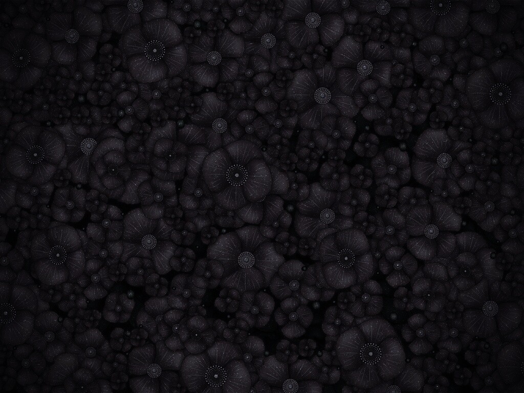 Рисунко с красными цветами обои