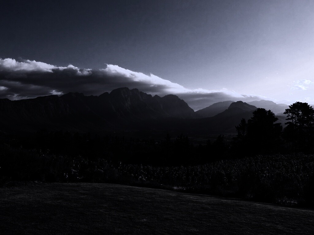 Виноградники в Африке обои