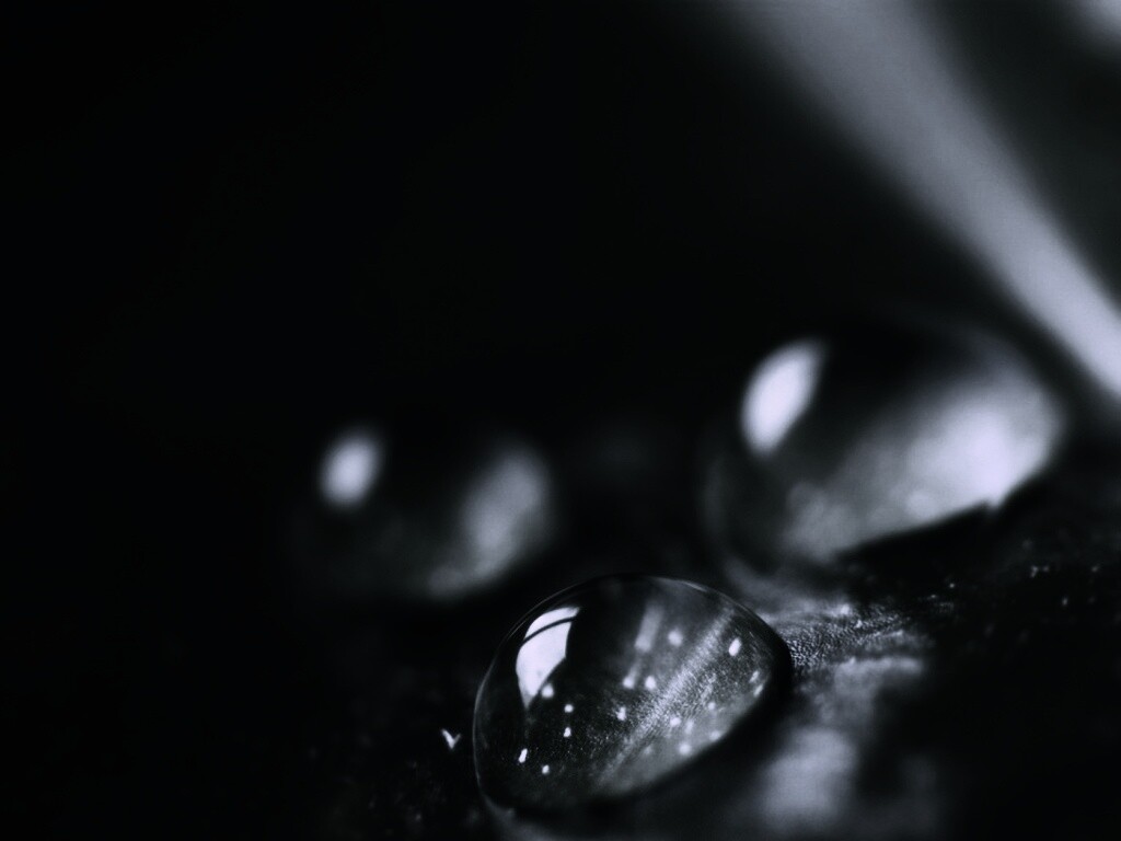 Зеленые капли росы обои