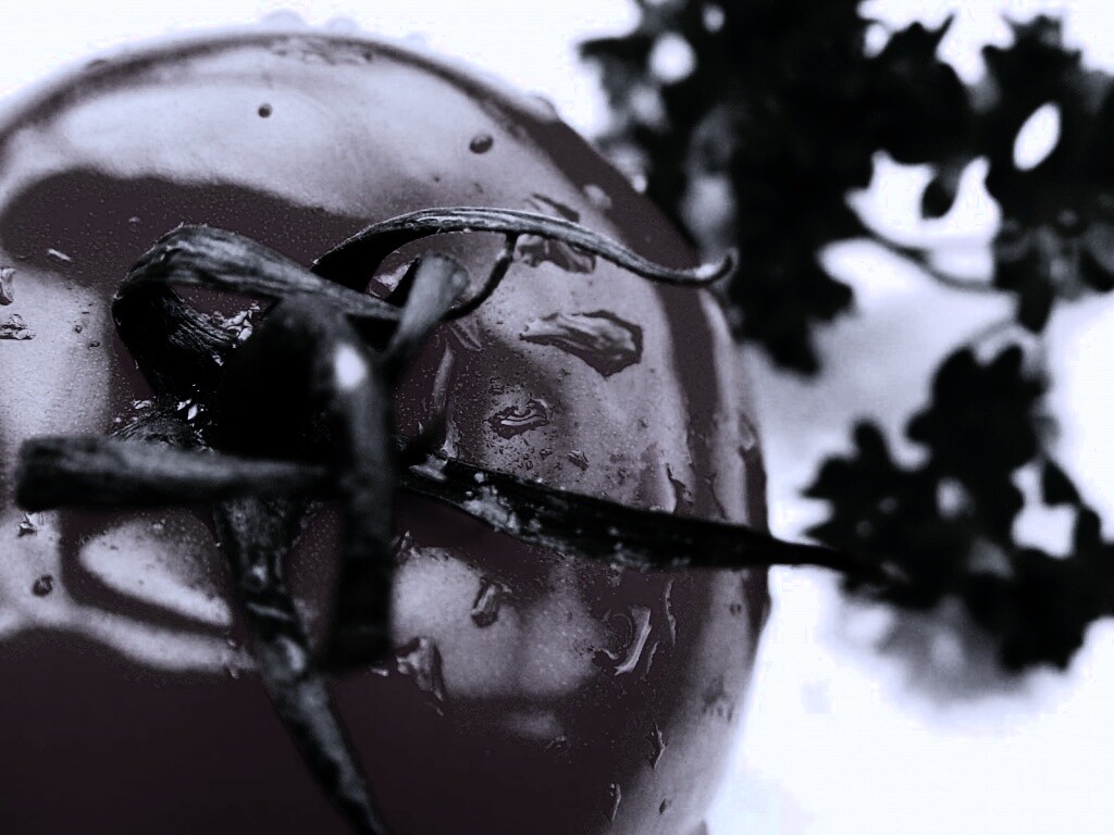 Свежая помидорка обои