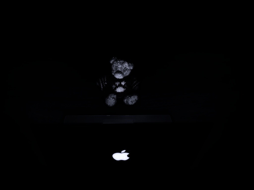 Плюшевый мишка за ноутбуком обои