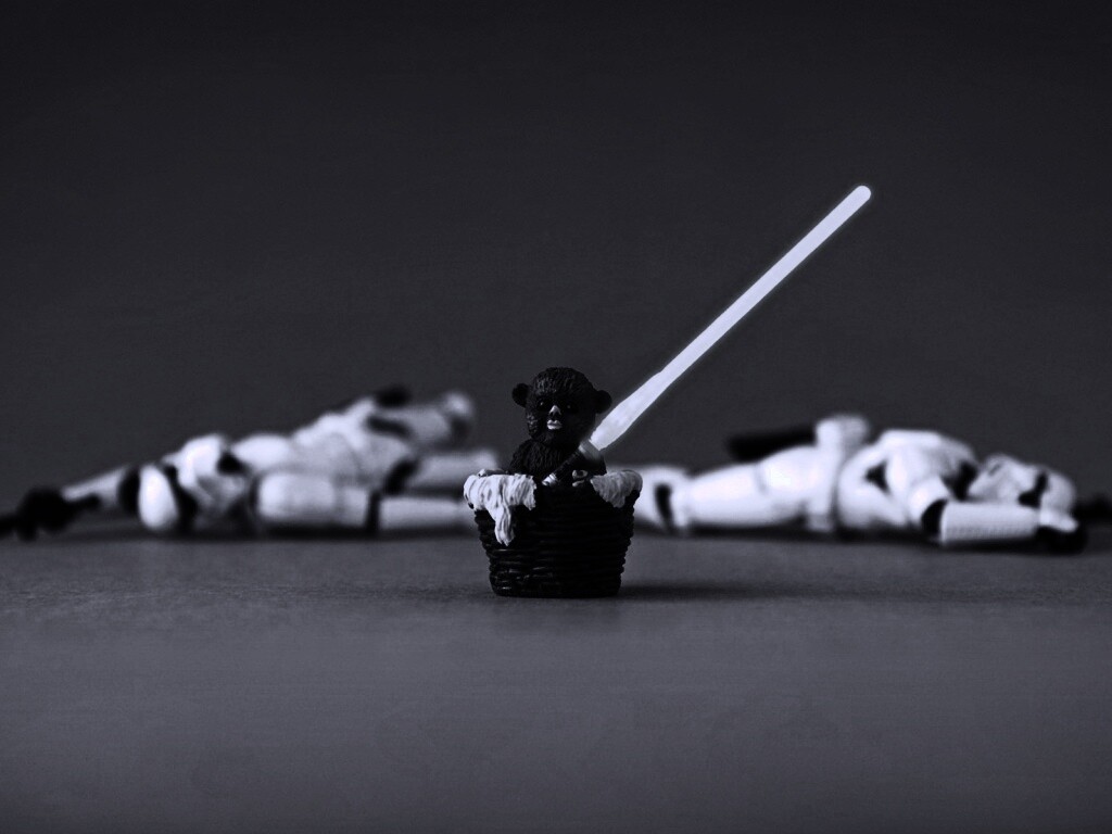 Эвоки снова всех победили обои