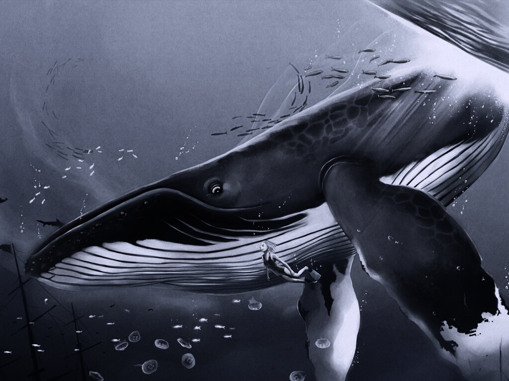 Кит и девушка обои