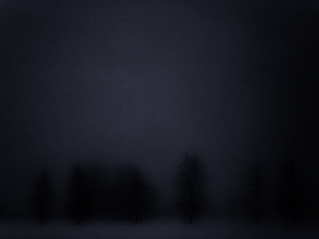 Деревья в тумане обои