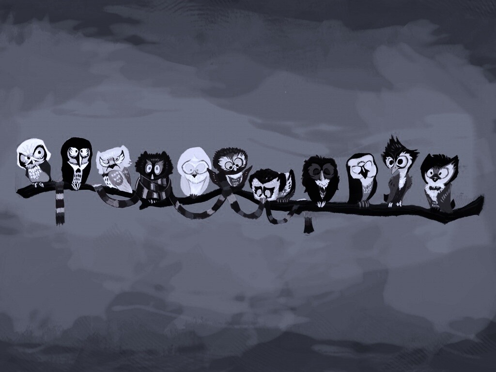 Совы на ветке обои