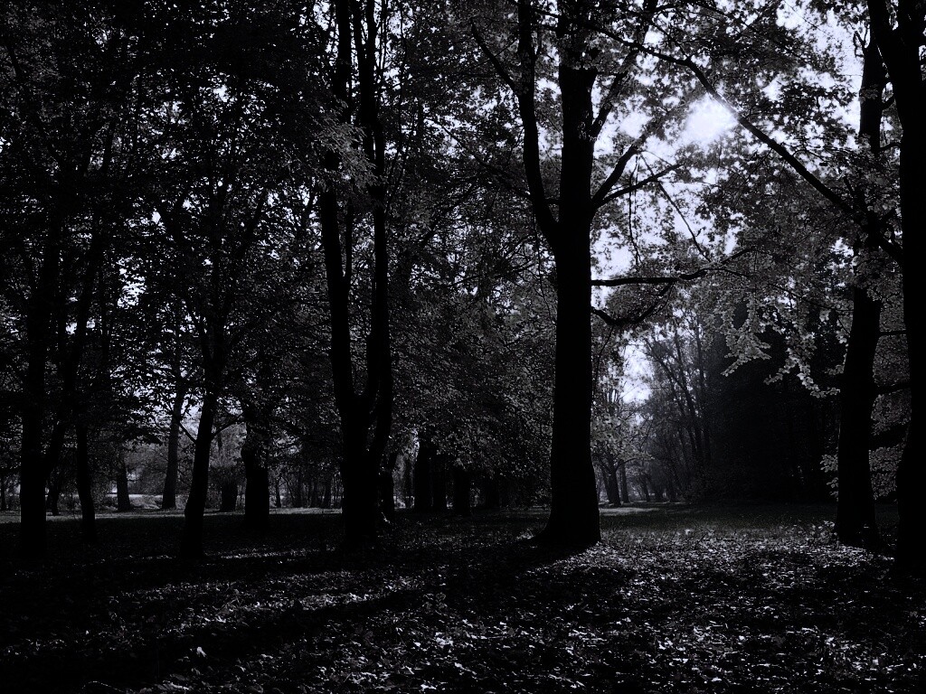 Осенний листопад в парке обои