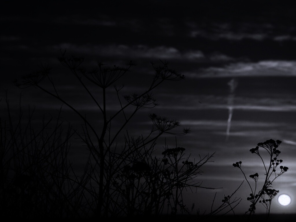 Степной закат обои