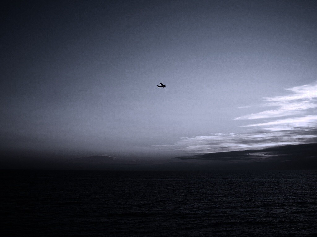 Паращий над морем обои