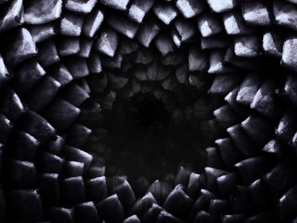 Сердцевина цветка обои