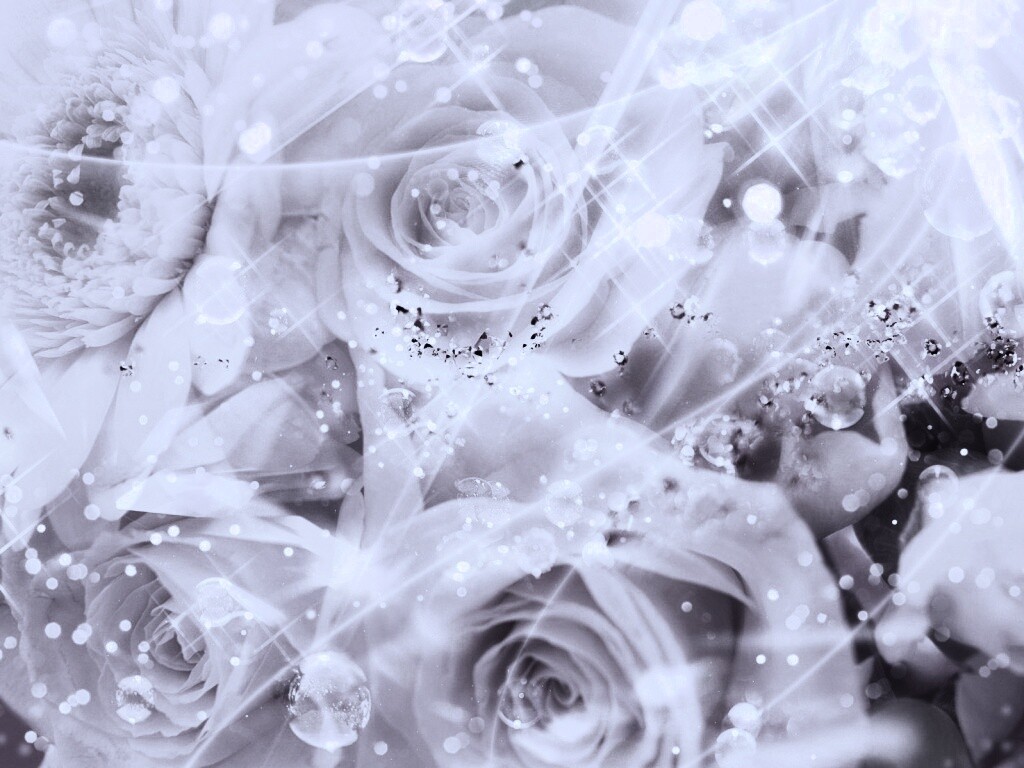 Розово-розовая абстракция с цветами обои