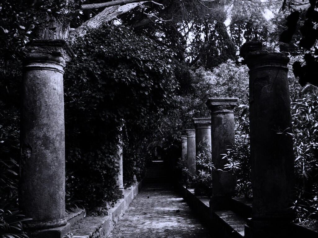 Галерея зимнего сада обои