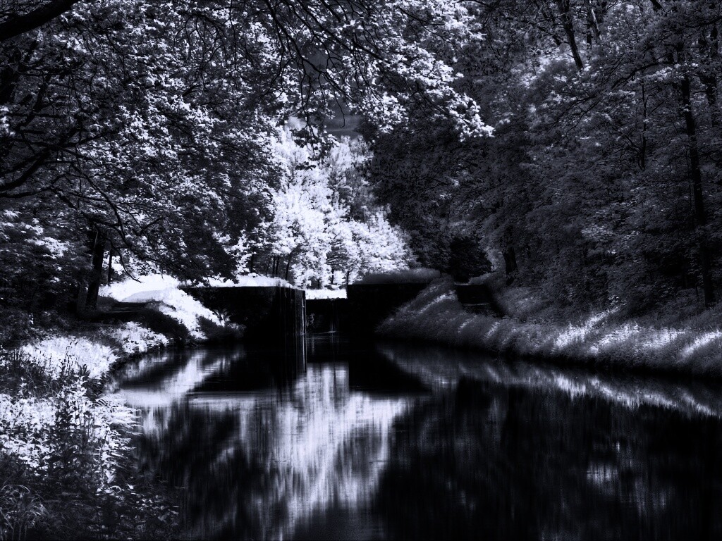 Замёрзжий канал обои