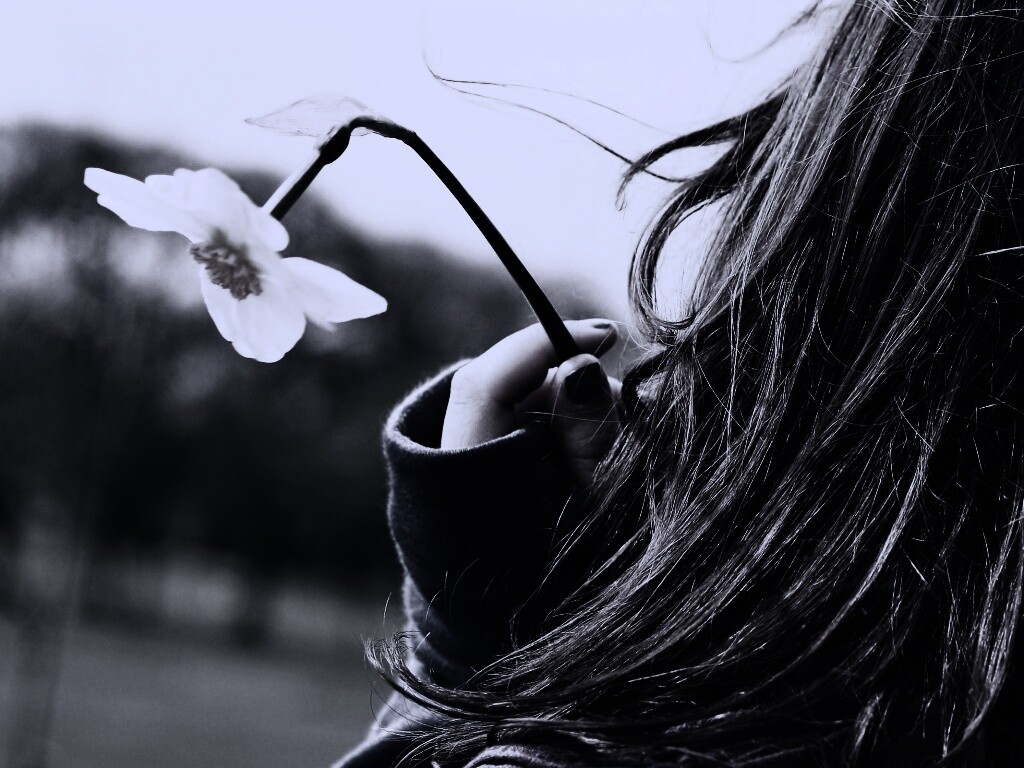 Девушка с нарциссом в руке обои