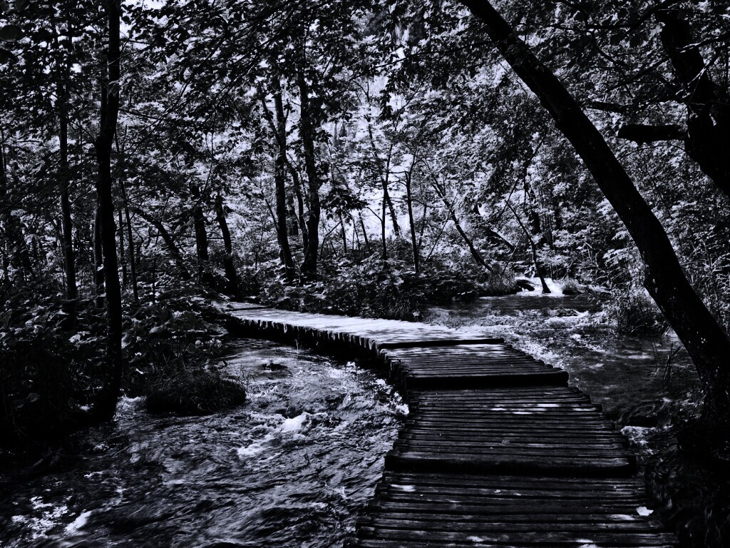 Тропинка над водой обои