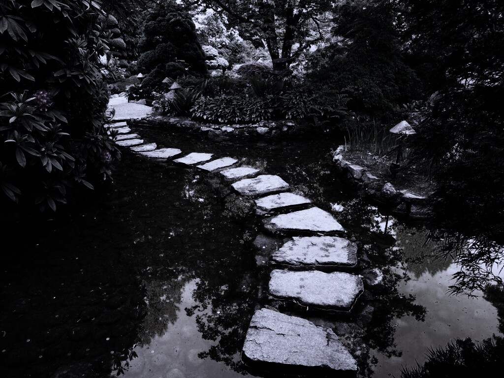 Дорожка через пруд обои