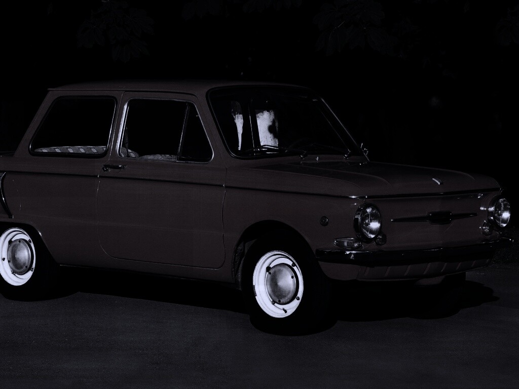 Оранжевый ушастый запорожец обои