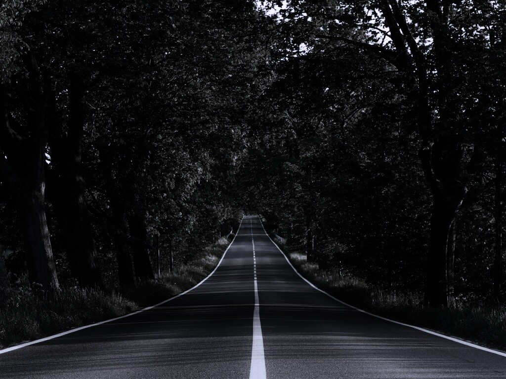 Под горку и в лес обои