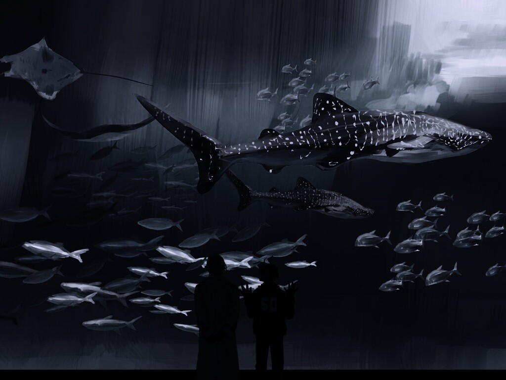 Двое в океанариуме обои