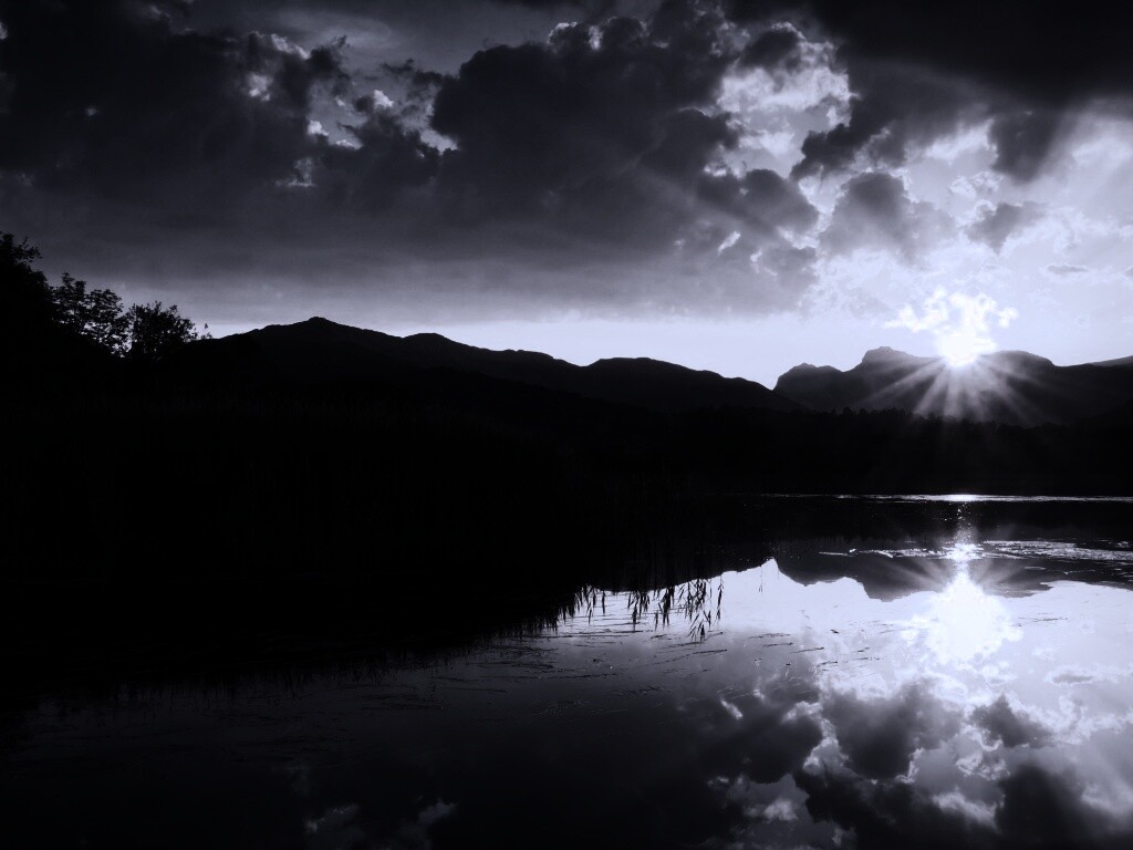 Закат за лесом обои