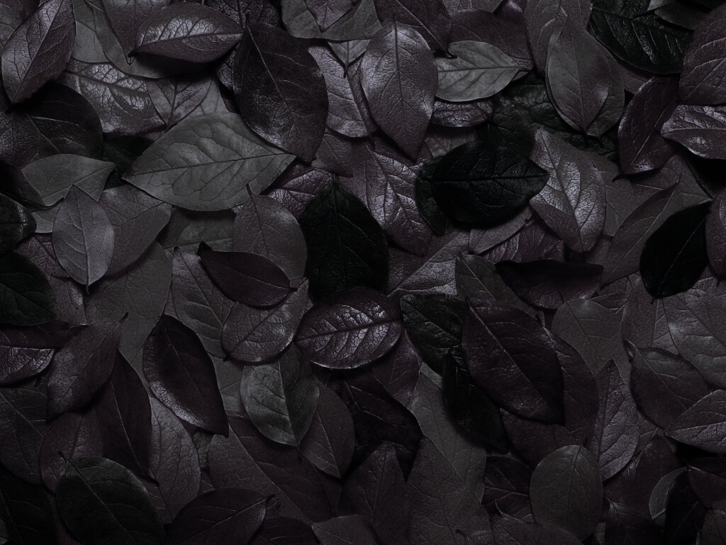 Цветной ковёр из листьев обои