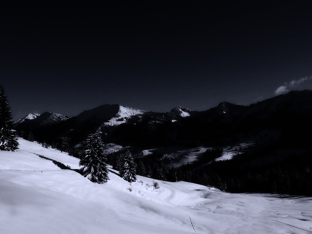 Лес в горах обои