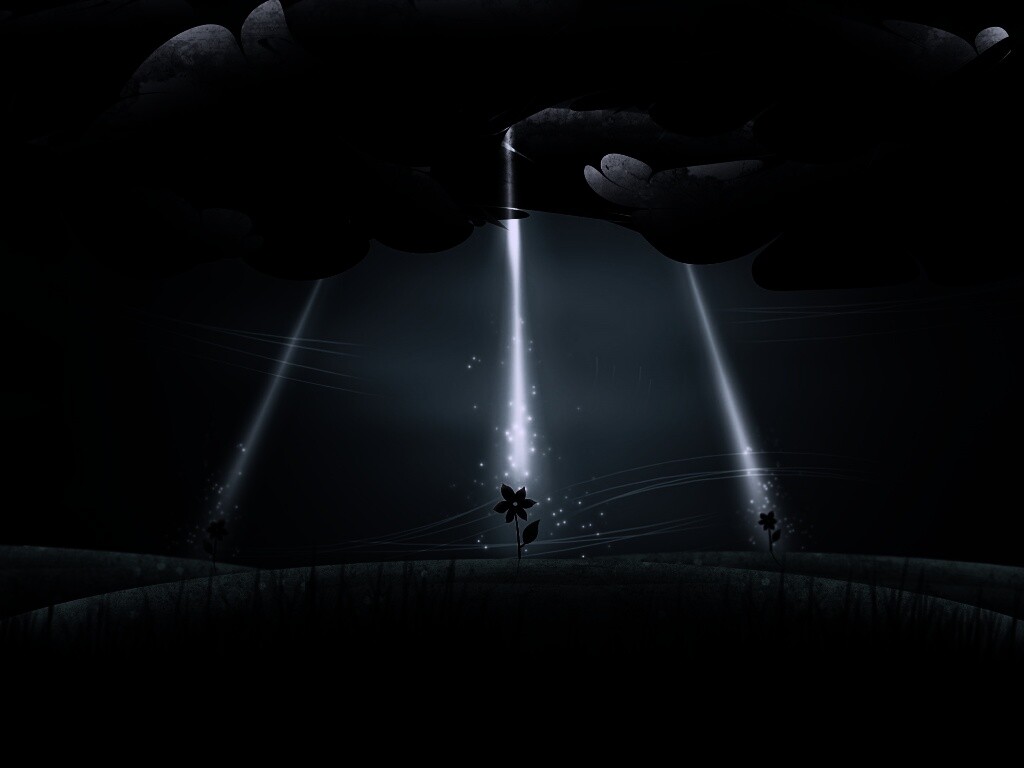 Свет для цветов обои