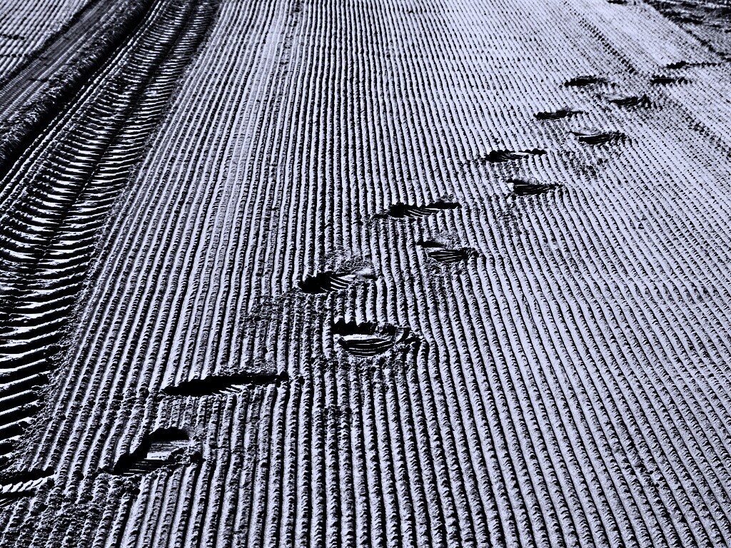 Следы на песке обои