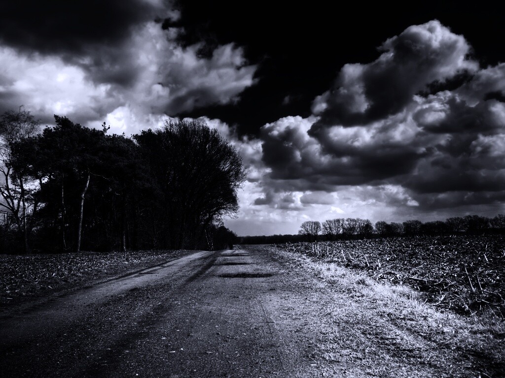 Дорога через поле обои