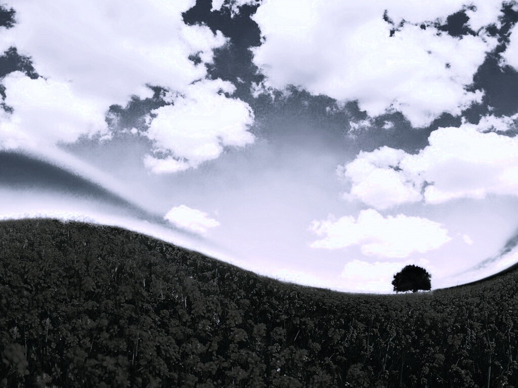 Искаженный мир обои