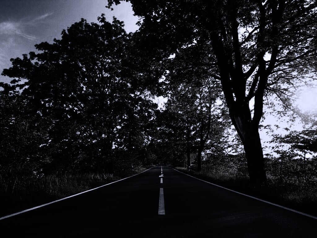 Прямая дорога обои