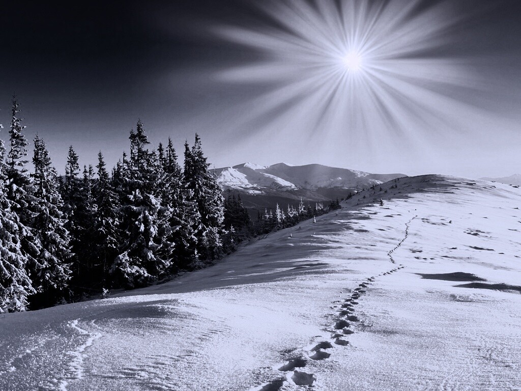 Холодные лучи зимнего солнца обои