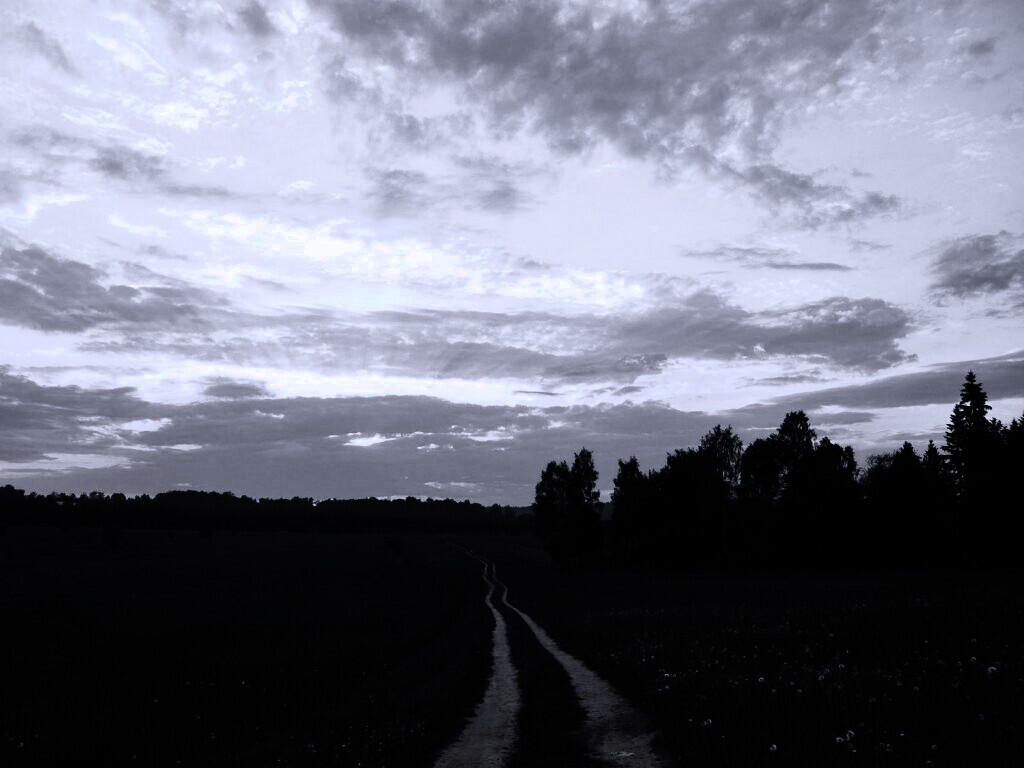 Дорога к лесу обои