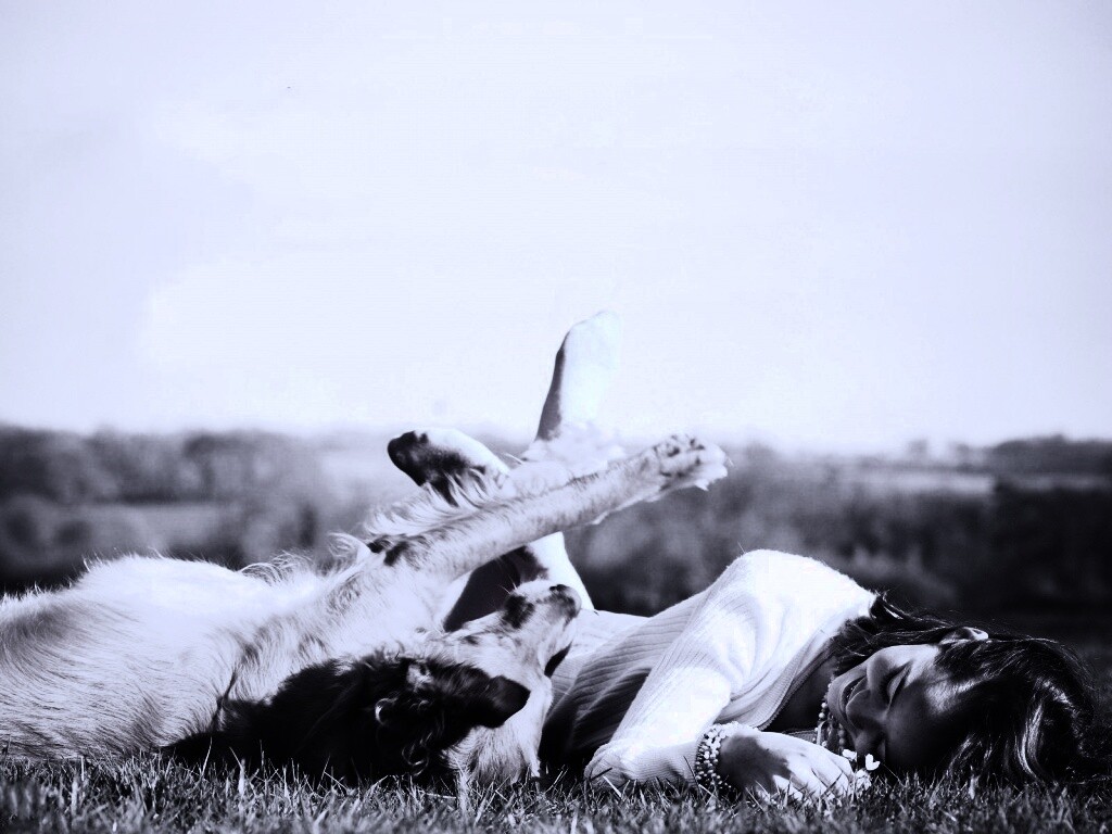 Девушка и собака валяются на траве обои