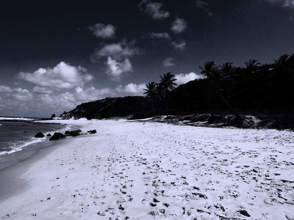 Туры в Бразилию в Лондрину обои